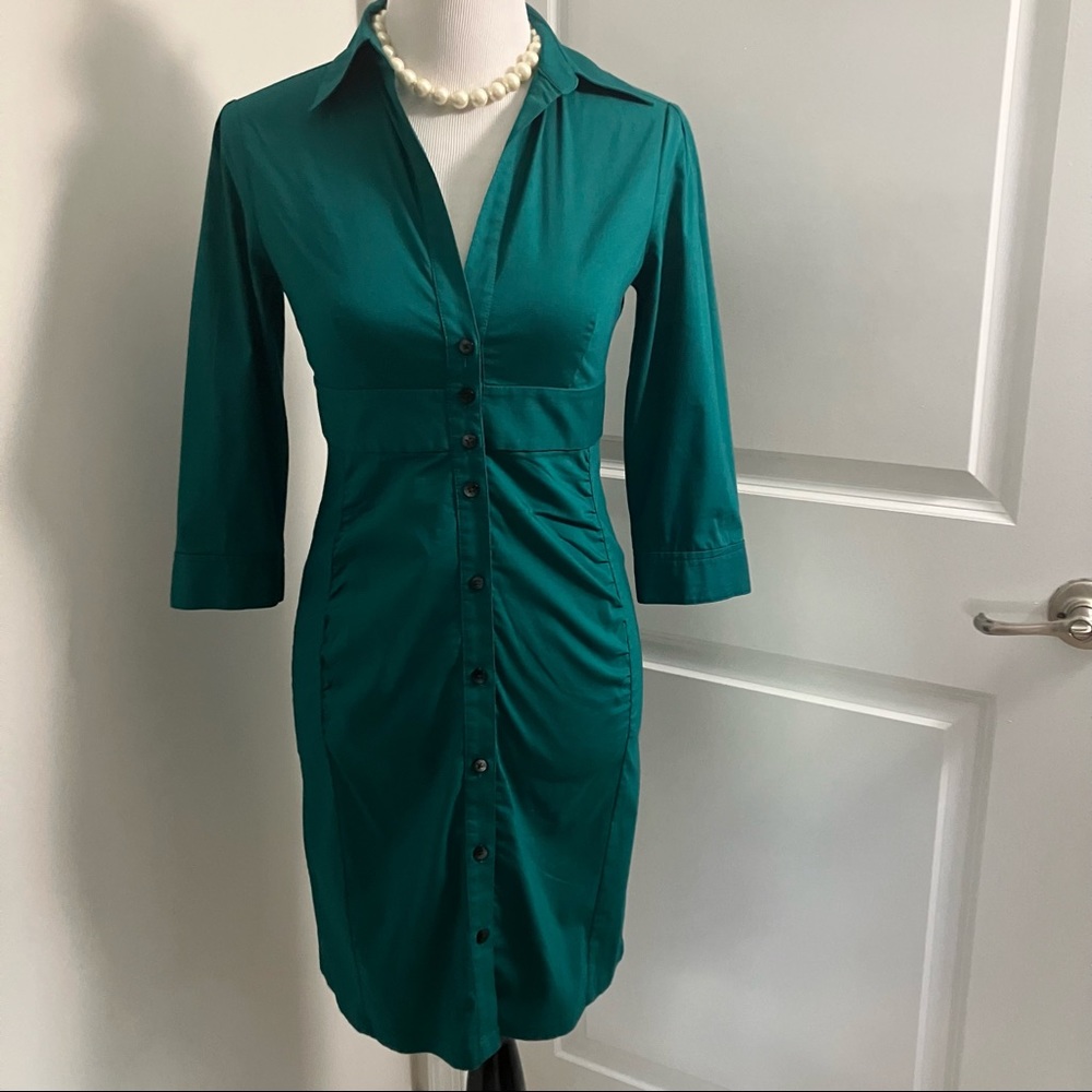 EXPRESS green button down dress